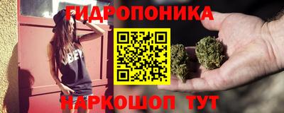 винт Кингисепп
