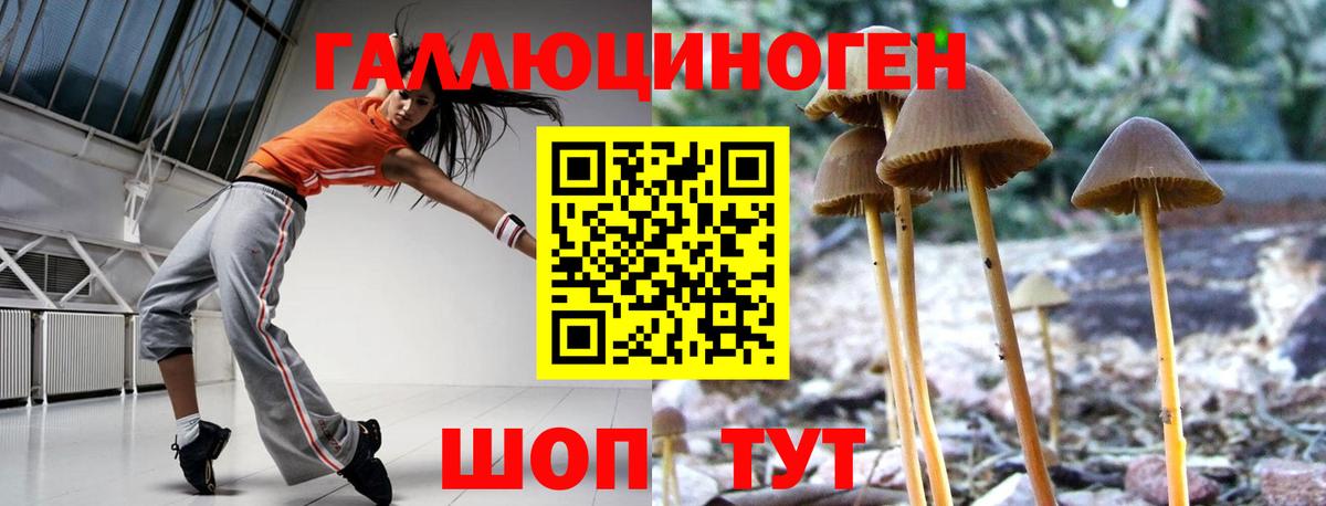 Галлюциногенные грибы Psilocybine cubensis  Вход с VPN  Чистополь  Галлюциногенные грибы Cubensis 